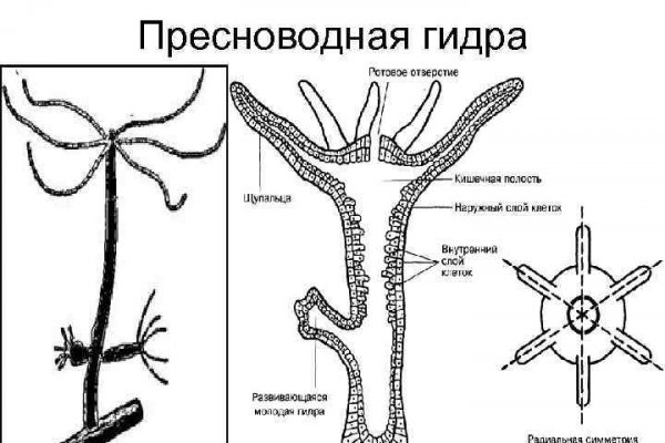 Телеграм канал омг омг